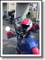 DSCN4208.JPG