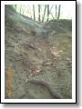 PICT0279.JPG