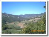 PICT0288.JPG