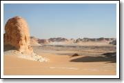 IMG_6919.JPG