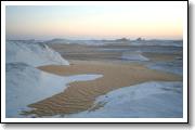 IMG_7010.JPG