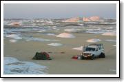 IMG_7029.JPG