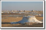 IMG_7036.JPG