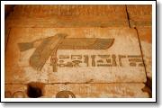 IMG_7227.JPG