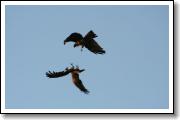 IMG_7448.JPG