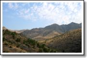 IMG_7920.JPG