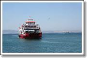 IMG_7943.JPG