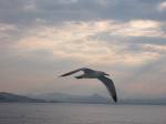 IMG_0525.JPG