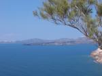 IMG_0749.JPG