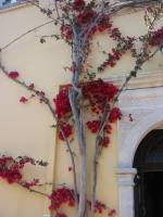 IMG_1174.JPG