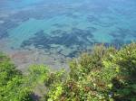 IMG_1257.JPG