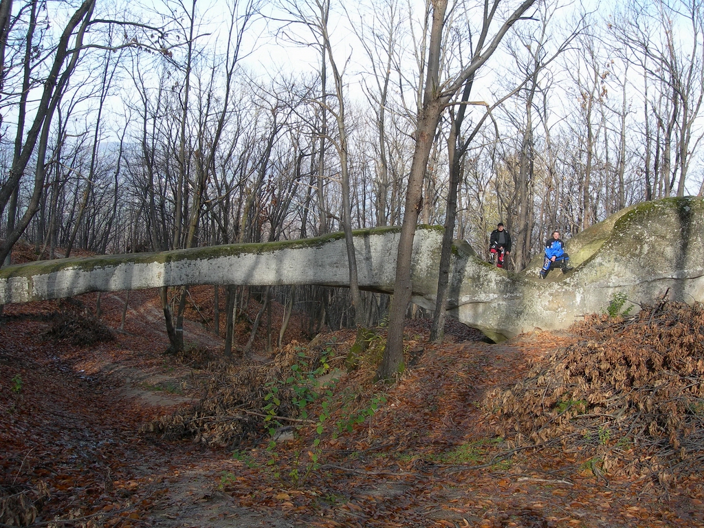 Ponte Ercole Tazio 01.JPG