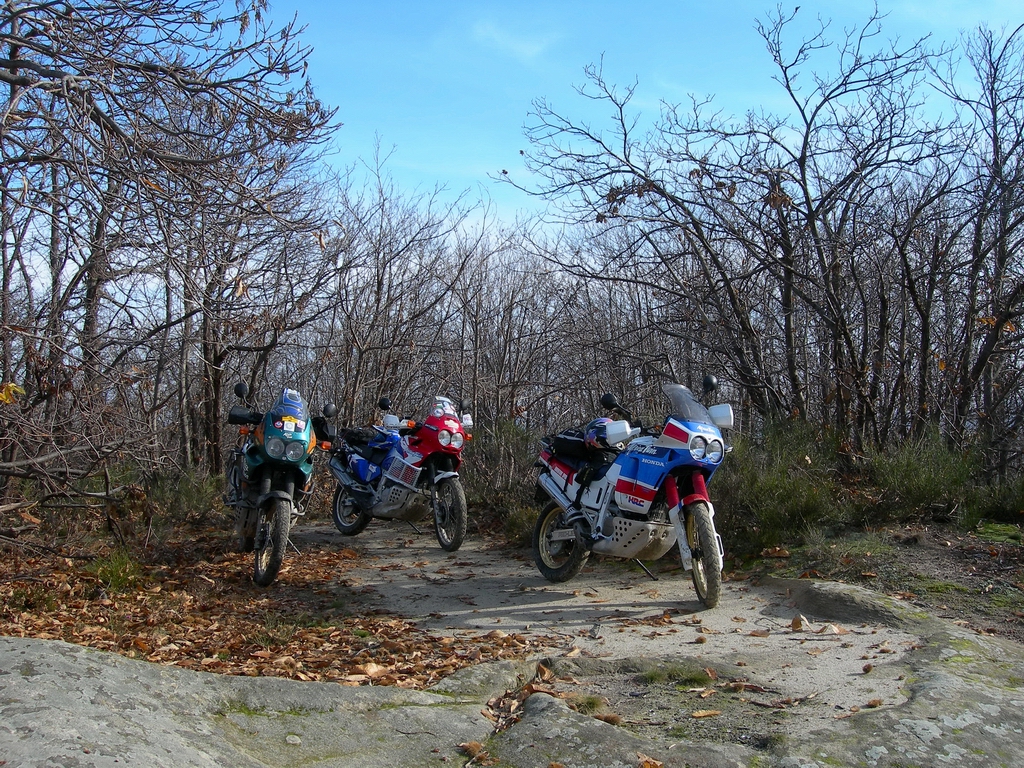 Ponte Ercole Tazio 04.JPG