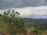 IMG_0380.JPG