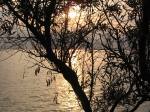 IMG_0436.JPG