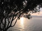 IMG_0439.JPG