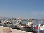 IMG_0915.JPG