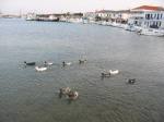 IMG_1073.JPG