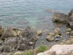 IMG_1166.JPG