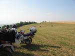IMG_1459.JPG