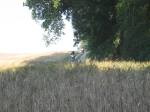 IMG_1472.JPG