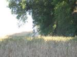 IMG_1473.JPG