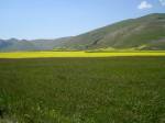 @Marche43.JPG