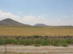 IMG_1591.JPG