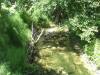DSCF2667.JPG