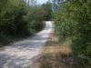 DSCN3746.JPG