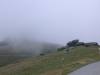 DSCN3822.JPG