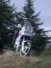 DSCN3846.JPG