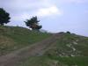 DSCN3850.JPG