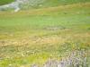 DSCN0629_1.JPG