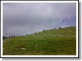 050720081538.jpg