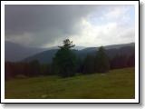 060720081554.jpg