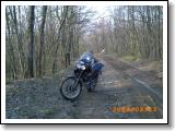 PICT0556.JPG