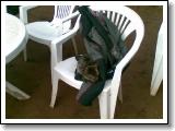 10012009(014).jpg