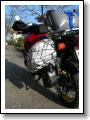 DSCN1555.JPG