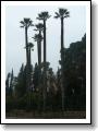 DSCN1589.JPG