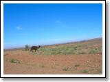 DSCN1643.JPG
