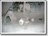 DSCN1673.JPG