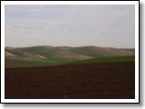 PC300027.JPG