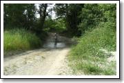 2010_06120064.JPG