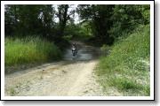 2010_06120068.JPG