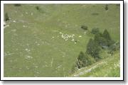 2010_07180046.JPG