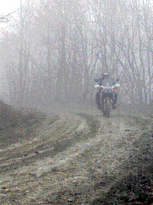 DSCN1976_edited.JPG