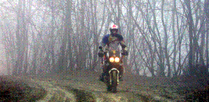 DSCN1977_1_edited.JPG
