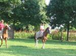 IMG_1281.JPG