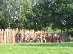 IMG_1288.JPG